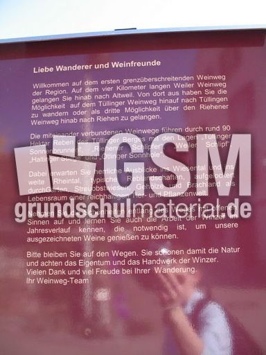 Weil am Rhein Weiler Weinweg 003.jpg